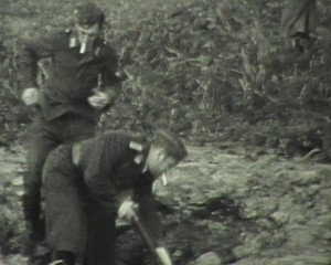 Film 2. Weltkrieg Niederlande Rotterdam