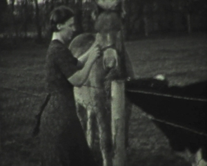 Film 2. Weltkrieg Niederlande Rotterdam