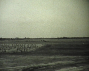 Film 2. Weltkrieg Texel 