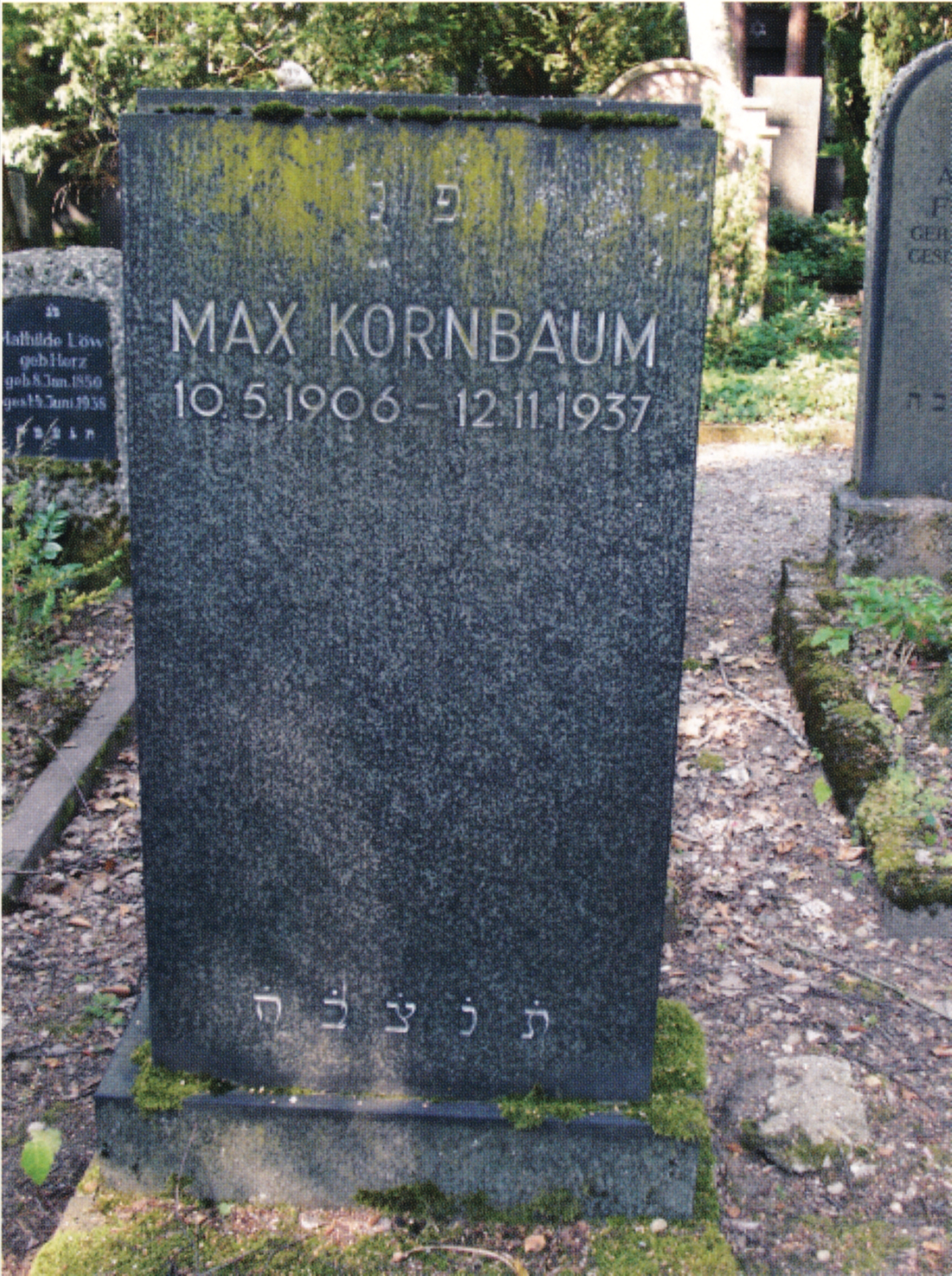 Grabstein von Max Kornbaum