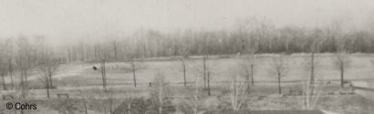 Ein historisches Foto von 1942 zeigt, dass die Baumhhe nur unwesentlich geringer war als heute 70 Jahre spter.