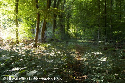 Der Wallgraben von Fort IV