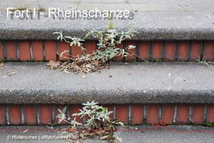 Fort I Rheinschanze Köln-Bayenthal